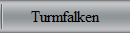 Turmfalken