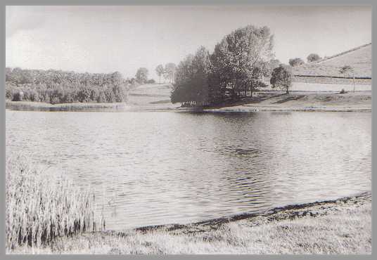 Am Ostufer des Wangeriner Sees 1938